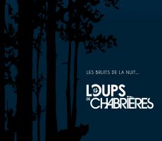 Affiche bruits de la nuit